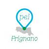 immagine news