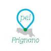 immagine news