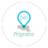 immagine news